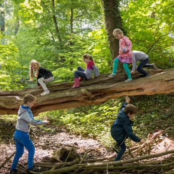 De Tilburgse Buitenschool