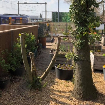 Groene long van de spoorzone
